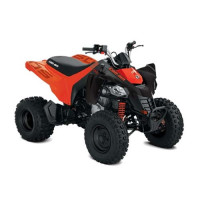 Can-Am DS 250 '20