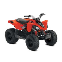 Can-Am DS 90 '20