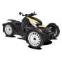 Can-Am Ryker Rally 900 ACE '22
