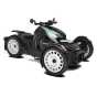 Can-Am Ryker Rally 900 ACE '22