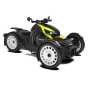 Can-Am Ryker Rally 900 ACE '22